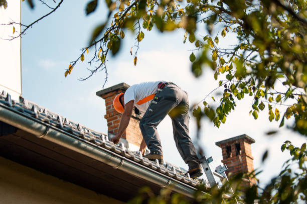 Best Residential Roofing Contractor  in Olivarez, TX