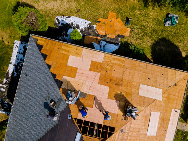 Best New Roof Installation  in Olivarez, TX