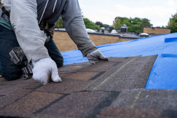 Best Roof Restoration Services  in Olivarez, TX