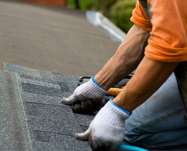 Best Storm Damage Roof Repair  in Olivarez, TX