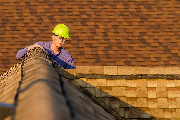 Best Roof Repair Services  in Olivarez, TX