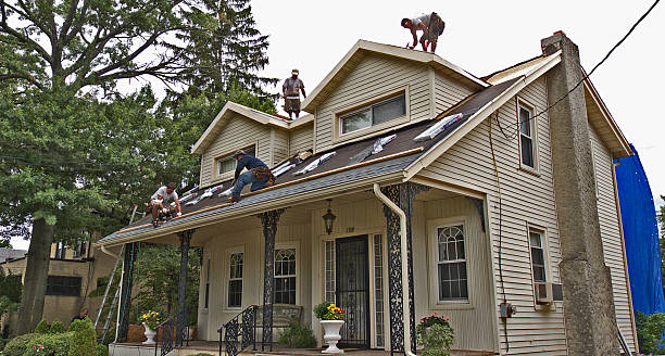 Best Shingle Roofing Installation  in Olivarez, TX